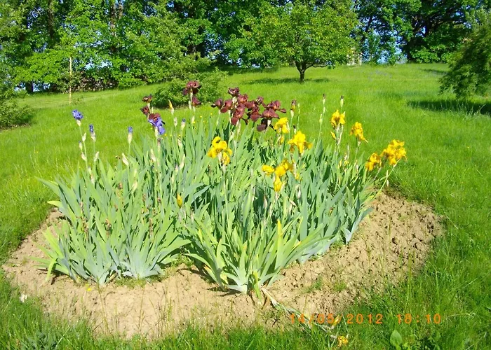 Hébergement de vacances De La Cheneraie